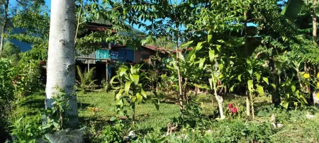 Karleta Homestay Отели в г. Manggarai Regency