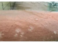 Kamikita Sakura Hot Spring Hotel di Misawa