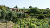 Uva & Stelle Maison Detached Villa in the Hills of Sperlonga - Villas