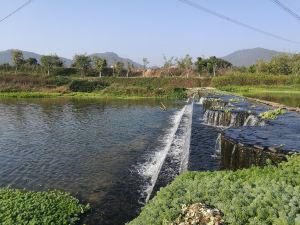 根園民居野菜根（汀溪大道2號分店）