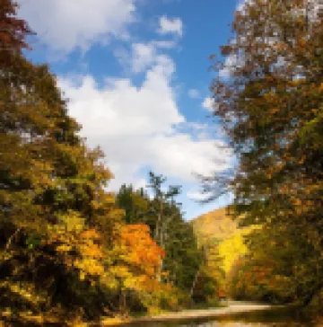 Miyori Furusato Taikenmura