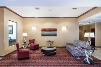 คอมฟอร์ต อินน์ แอนด์ สวีทส์ โมนาแฮนส์ ไอ-20