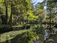 Fukujyuso 사노 호텔