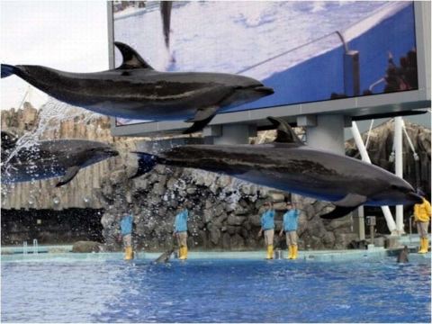 메이테쓰 인 나고야 가나야마 외관