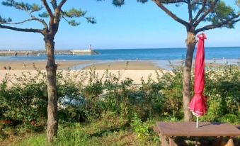 Hagampo Golden Pension in Taean