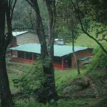 Secret Valley Jungle Resort Others