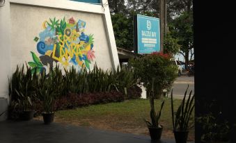 Dazzle Bay by Twenty Two