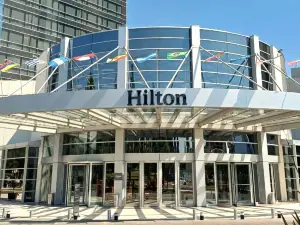 Hilton Mendoza