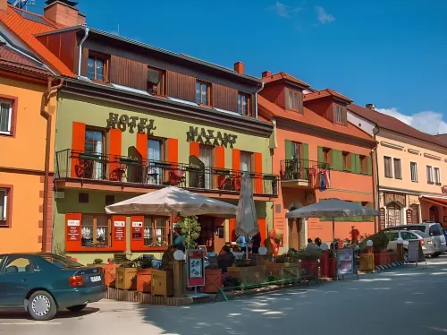 Hotel Maxant Hotels in Frymburk