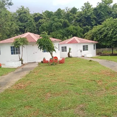 Demy Home