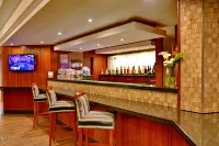 City Lodge Hotel Bloemfontein - bar