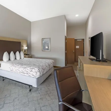 Best Western Plus Chickasha Inn