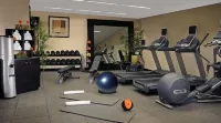 Hilton Garden Inn Bettendorf/Quad Cities - Gym