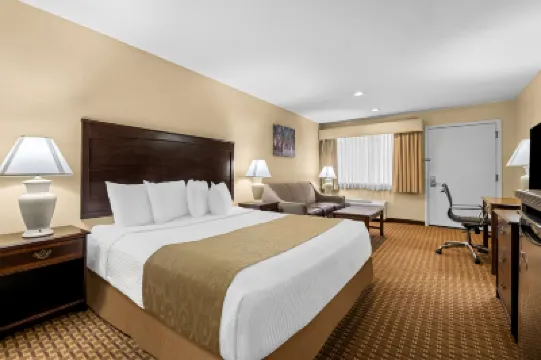 베스트 웨스턴 포레스트 인  호텔