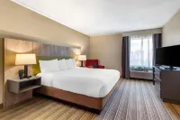 Country Inn & Suites by Radisson, Atlanta Galleria/Ballpark, GA Отели в г. Cobb County