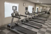 阿瓜斯卡連特斯假日酒店及套房 - 健身室/gym room