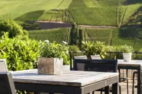 Weingut & Gästehaus Christoph Clüsserath Hotel a Trittenheim