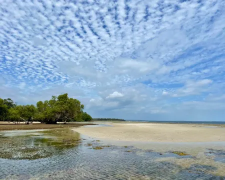 Wagawimbi Villa 560 m2, Breathtaking View of the Indian Ocean, Kenya Hotels in Shimoni
