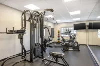 Country Inn & Suites by Radisson, Bolingbrook, I-55 - salle de sport