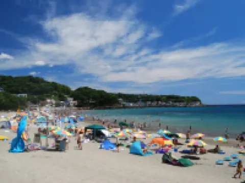 七滝温泉ホテル 河津のホテル