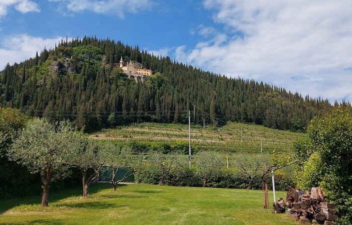 Villa Families Valpolicella, Private Pool, Vineyards, Verona 9km + Garda 20km