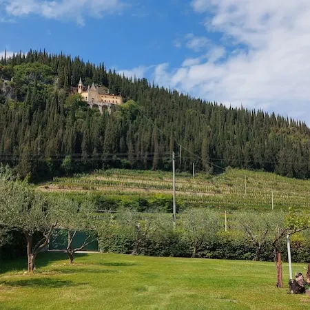 Ancient Grape Dryer in Valpolicella