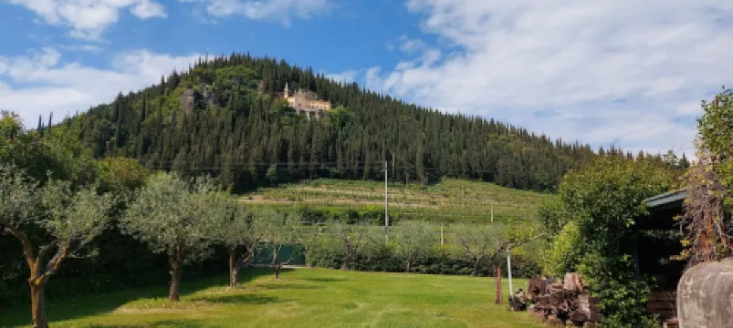 Ancient Grape Dryer in Valpolicella