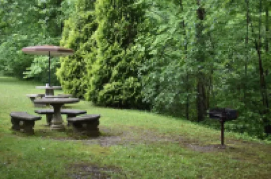 Hiawassee river cabin $ 85 per night  ON THE BEAUTIFUL HIAWASSEE RIVER