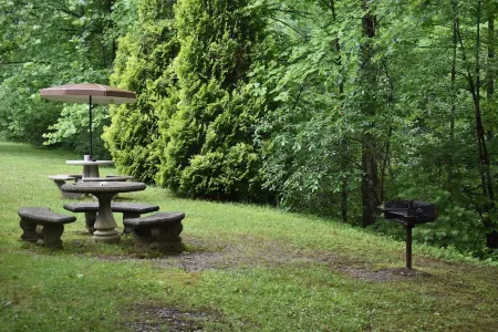 Hiawassee river cabin $ 85 per night  ON THE BEAUTIFUL HIAWASSEE RIVER