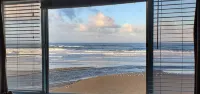 Sea Horse Suite at the Sea GypsyTwo Large Windows to View the Beach - Homestays