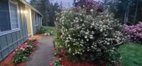 Your Own Peace, Privacy and Seclusion on 5 acres All to Yourself