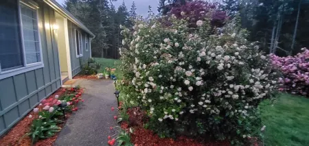 Your Own Peace, Privacy and Seclusion on 5 acres All to Yourself Отели в г. Терстон