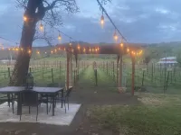 Charming Vineyard Estate Hotels near Wildlife Safari