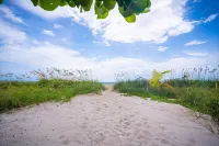 Beach Life!