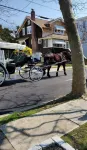 The Heart of Cape May on Historic Windsor Ave, 2 Blocks to Beach & Shopping!
