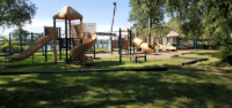 Cozy apartment near all