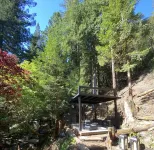 Cabin Forest Retreat