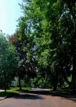McKennan Magic - Historic 2 BR apartment located 8 blocks from DT Sioux Falls