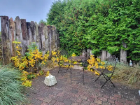Beautiful, very quietly located vacation apartment between the Baltic Sea and the Bodden with sauna - Wifi
