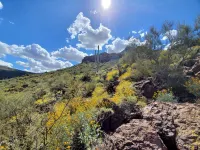 Smart TV BBQ Grill Tucson Saguaro Desert View Stargazing Soak Tub WiFi 2 Car Gar