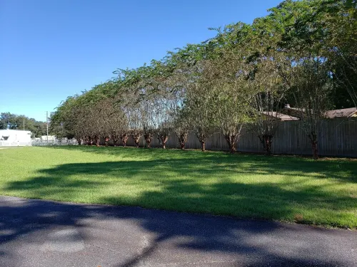 Secluded pool home on 4+ acres