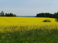 - Disabled Fewo, 2-4 Pers, 2 Br, Wlan Incl.. Hotels in Bad Brambach