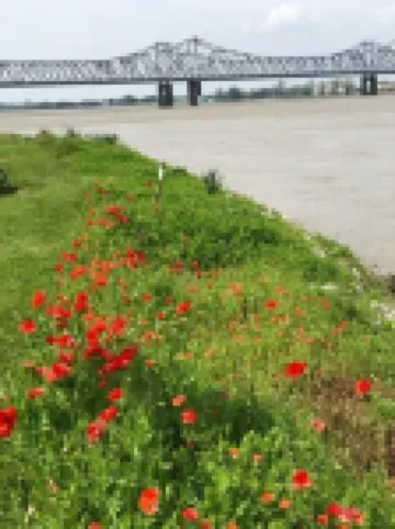 Kelly Kottage in Historic Downtown Natchez