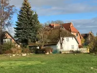 Vacation home, Sellin, at the nature marina and biosphere reserve, WLAN,Last Minute