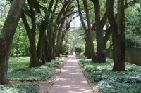 Historic Cottage - At Hopelands Gardens close to Hitchcock Woods (Remodeled)