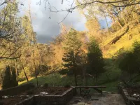 Halcyon House, Make Memories Here!