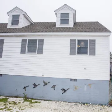 Tranquil Shores - Relaxation With a Water View!