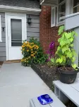 Melodic Forest~Hot Tub, Music Studio, Close to Wineries, Erie & Cleveland