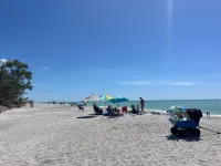 Fully Renovated, Steps to Beach. 2Br/1BA.Dogs Welcome! Perfect Ratings.