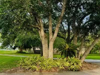 Lovely 1 bedroom apartment Pearland - Wi-Fi - Roku TV